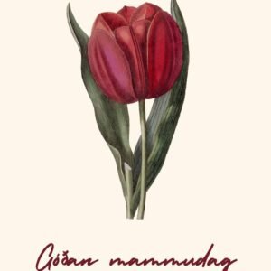 Kort til Mammudagin