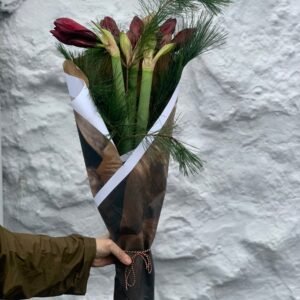Jólaheilsan- Amaryllis og fura