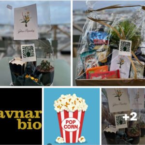 Stór gávukurv við plantu, góðgæti og biografbillett