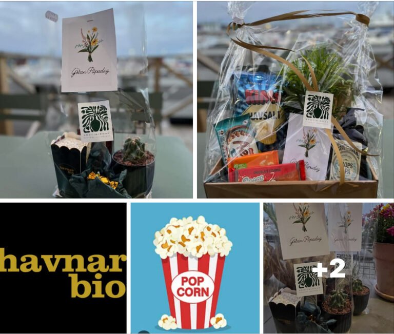Stór gávukurv við plantu, góðgæti og biografbillett
